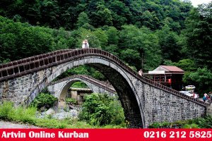 Artvin