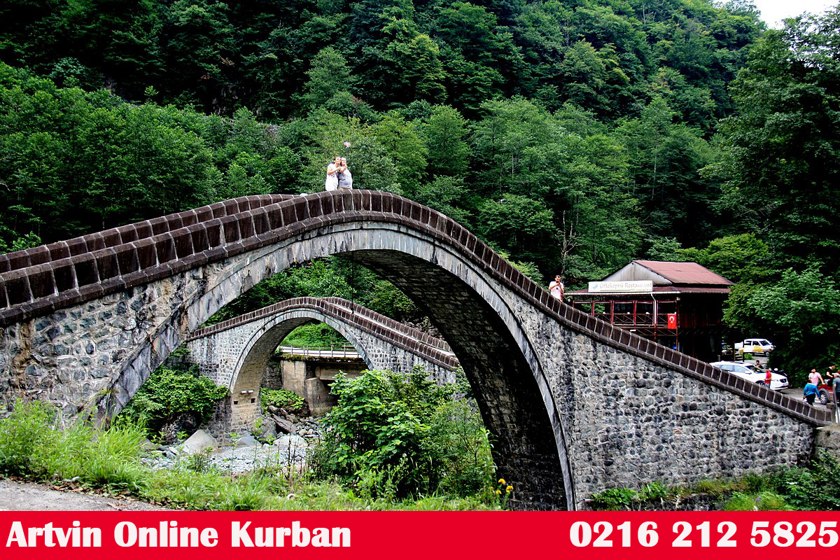 Artvin