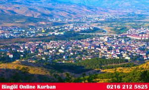 Bingöl