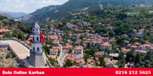 Bolu