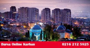 Bursa