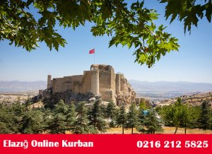 Elazığ