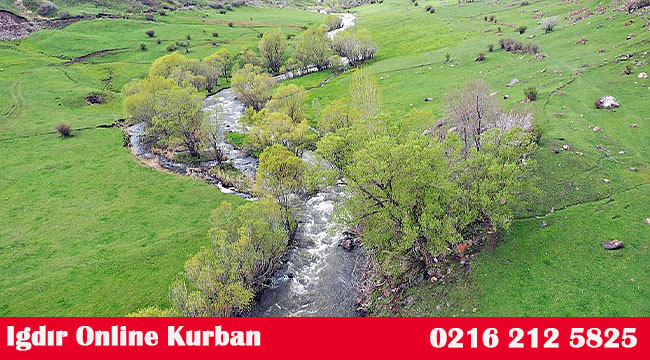Iğdır