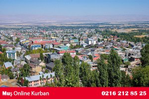 Muş
