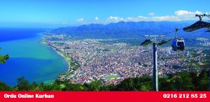 Ordu