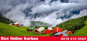 Rize