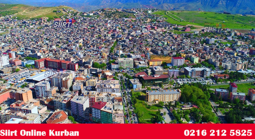 Siirt