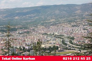 Tokat