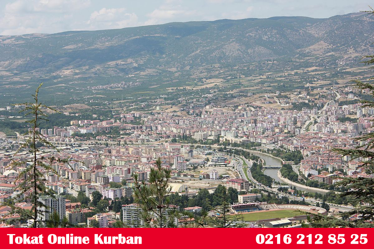 Tokat