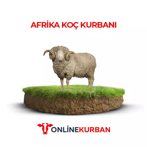 Afrika Koç Kurbanı