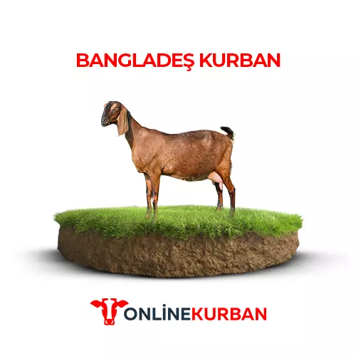 Bangladeş Kurban