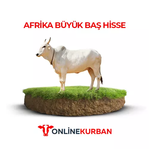 Büyükbaş Hisse Kurban