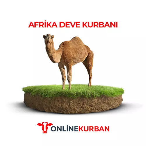 Deve Kurbanı