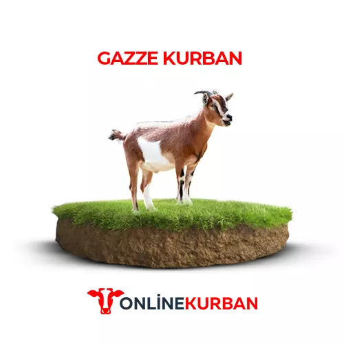 Gazze Kurban