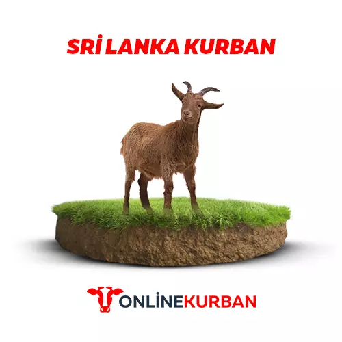Sri Lanka Kurban